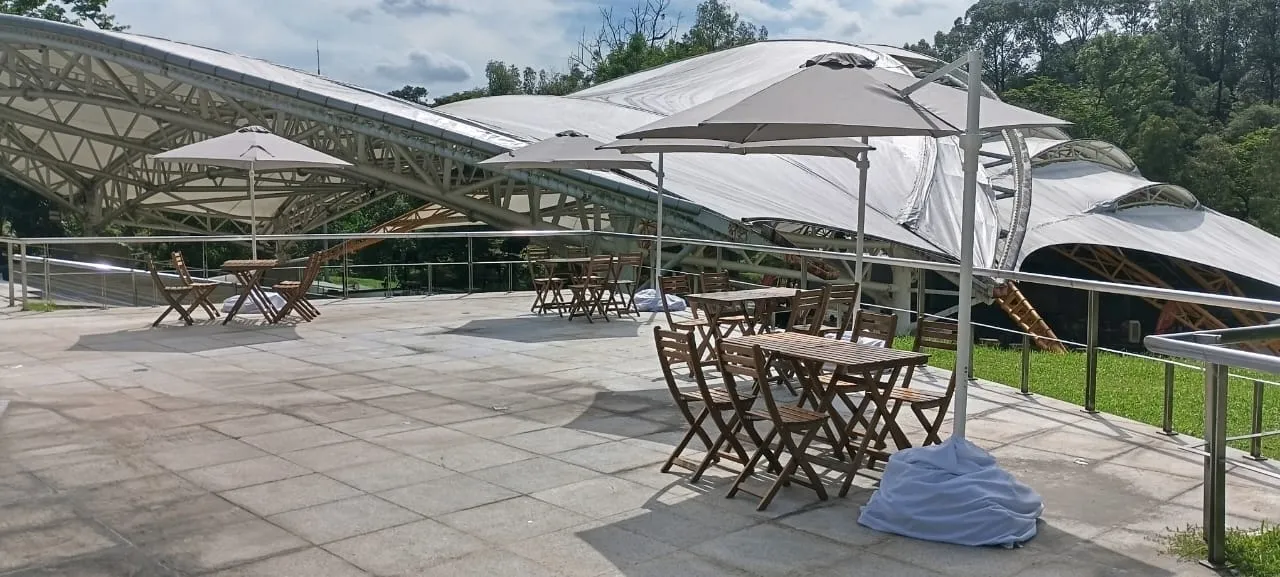 Grey Parasol rental