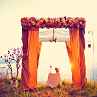 wedding canopy